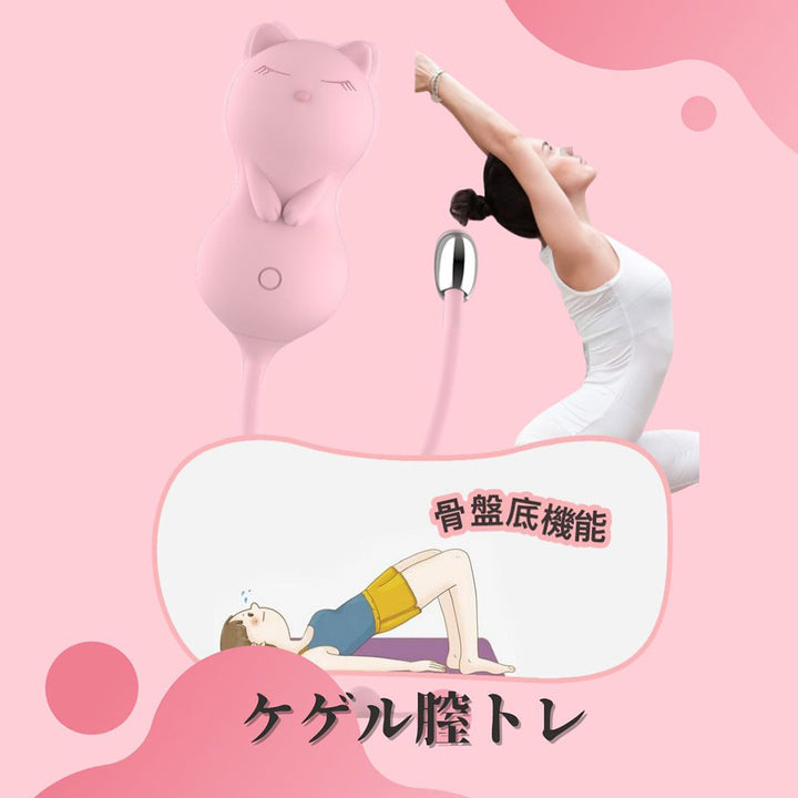 Namiya paula リモコン  電動膣トレローター バイブ